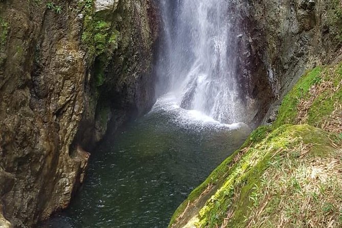 2 Hours Trekking Waterfall Tour in Tobago - What makes this Tobago waterfall trip worth considering