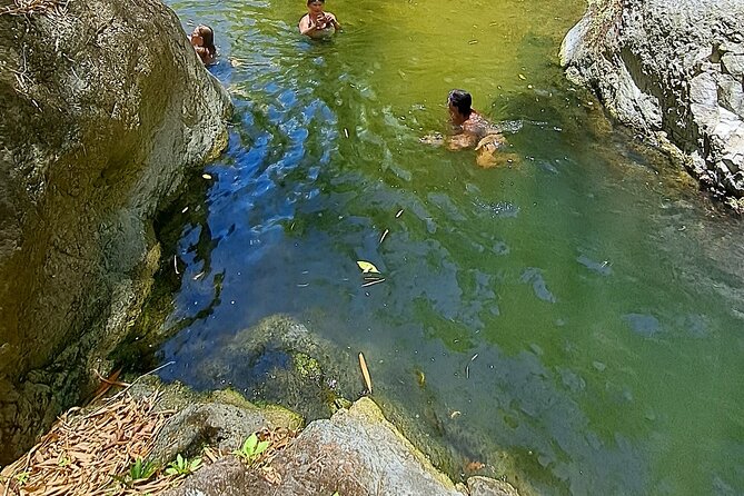 2 Hours Trekking Waterfall Tour in Tobago - From Buccoo Beach to Tobago’s rainforest