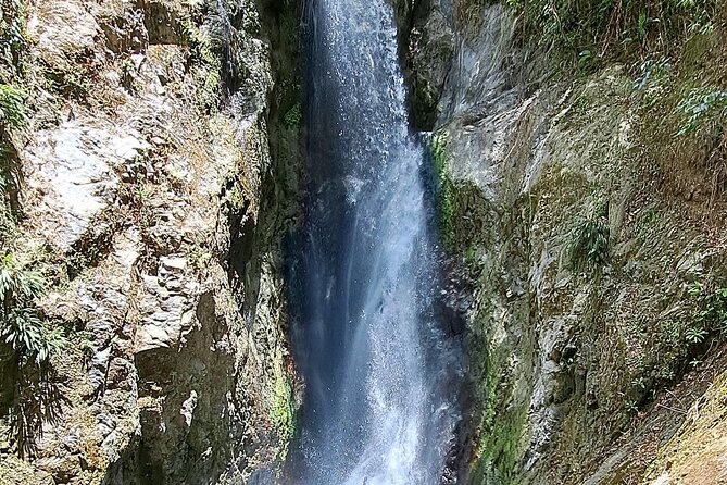 2 Hours Trekking Waterfall Tour in Tobago - A guide can make the forest walk better