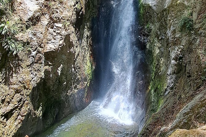 2 Hours Trekking Waterfall Tour in Tobago - What the $156.93 price really covers