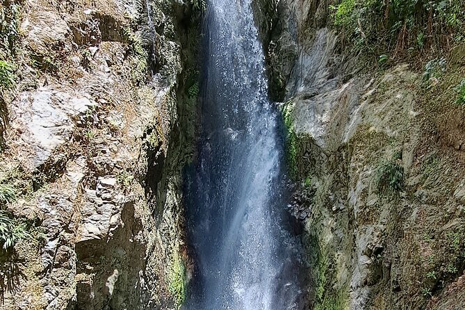2 Hours Trekking Waterfall Tour in Tobago - Final verdict: book it for the forest and waterfall