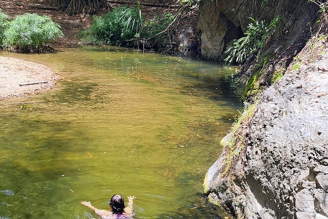 2 Hours Trekking Waterfall Tour in Tobago - The 45-minute walk to the waterfall