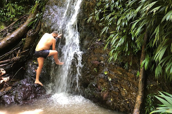 3 Hours Rainforest Walk in Tobago (Private) Lunch + Hummingbirds - Local lunch and the value of a private day
