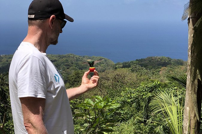 3 Hours Rainforest Walk in Tobago (Private) Lunch + Hummingbirds - Is three hours enough for this forest?