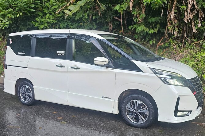 Airport Transfer to OR from Accommodation in Trinidad - Key points about this Trinidad transfer