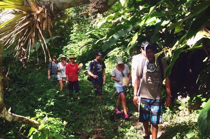 Argyle Waterfall with Adventure Farm - Who will enjoy this Tobago tour most