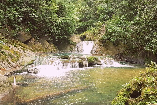 Aripo Waterfall Adventure - Key Points Before You Book