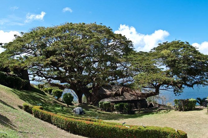 Around the Island - Fort King George and Tobago’s Atlantic Views