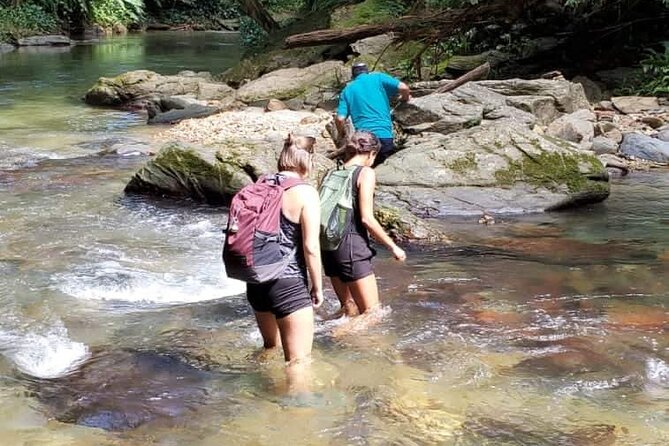 Avocat Waterfall and Beach Tour - Key points to know before booking