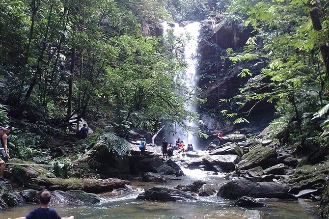 Avocat Waterfall and Beach Tour - The plunge pool is the reward