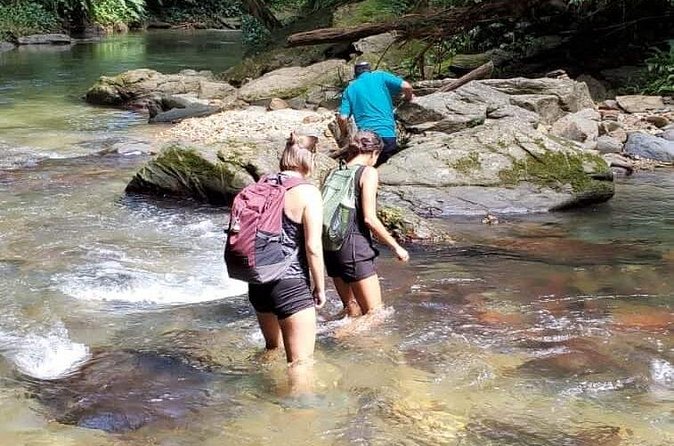 Avocat Waterfall and Beach Tour - Guides can make or break the day