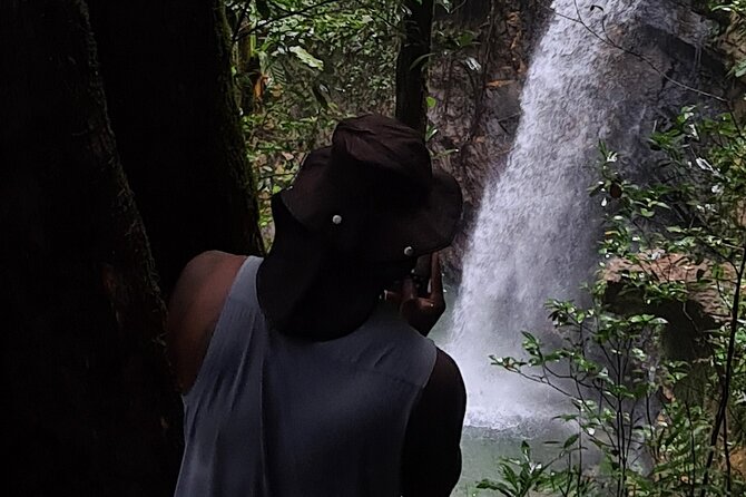 Avocat Waterfall Tour & Beach Stop Adventure - Why this North Coast day works so well