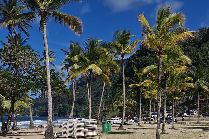 Avocat Waterfall Tour & Beach Stop Adventure - Who should book this experience?