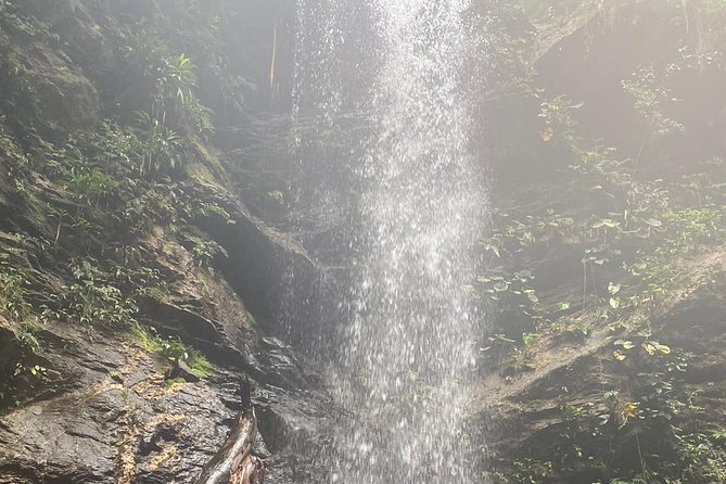 Avocat Waterfall Tour & Beach Stop Package - The winding road to the Northern Range