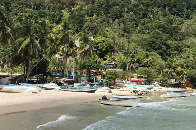 Avocat Waterfall Tour & Beach Stop Package - Why the guide matters on this trail