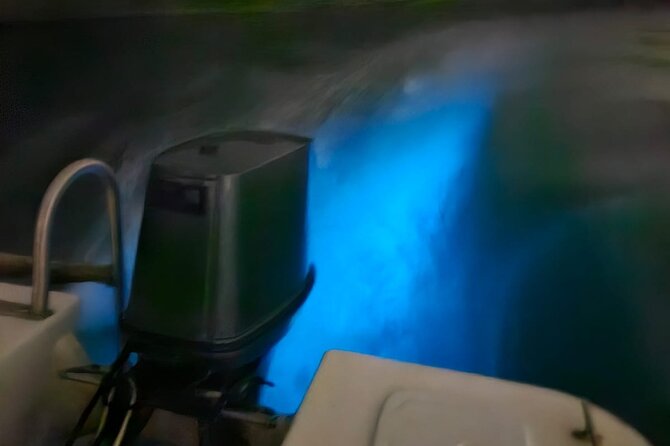Bioluminescence Tour - Who will enjoy this night boat trip?