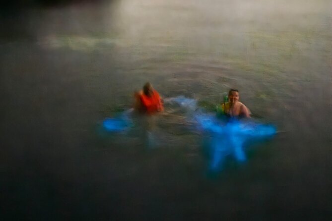 Bioluminescence Tour - Buccoo Reef after dark