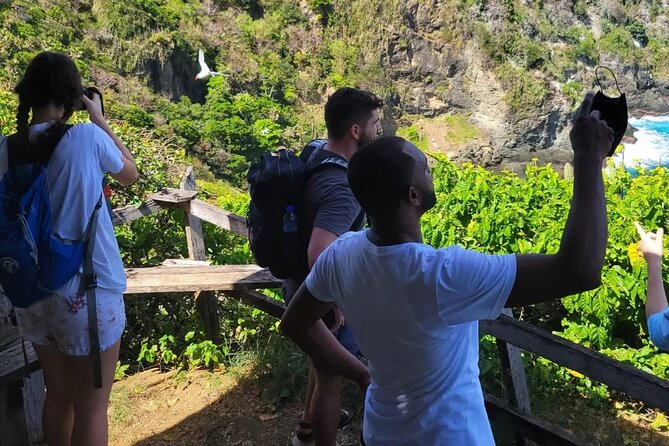 Birdwatching, Waterfall, Rainforest and Island Nature Tours - Taking the full island option