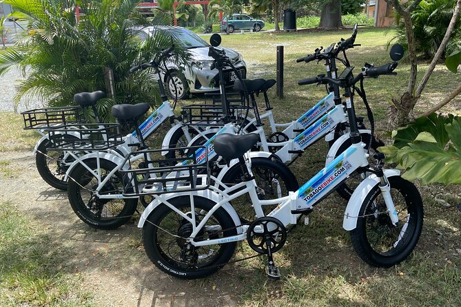 Breeze Through Tobago on an E-bike - How this compares with exploring on your own