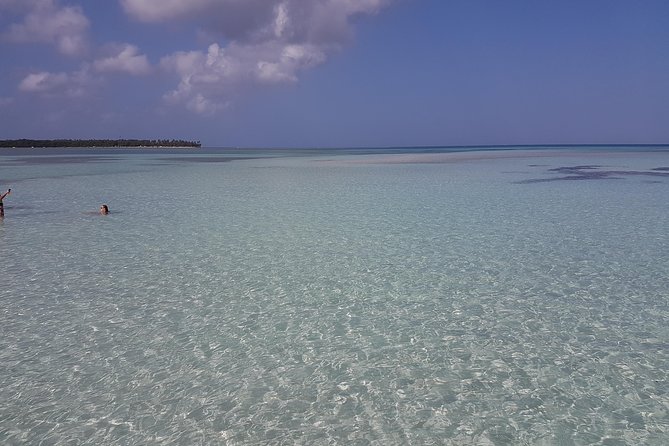 Buccoo Reef and Nylon Pool Adventure - Key points at a glance