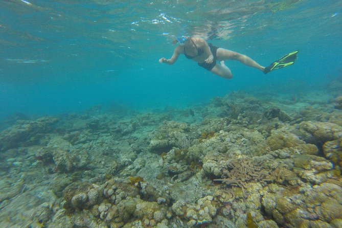 Buccoo Reef and Nylon Pool Adventure - Timing, pickup, and the meeting-point warning