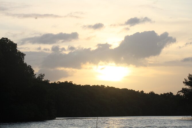 Caroni Bird Sanctuary Tour - Heat, rain, and comfort on the water