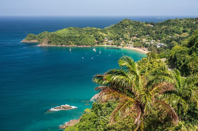 Castara Bay Day Trip with Lunch - Key points to know before you book