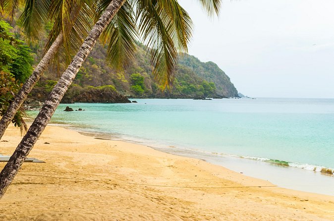 Castara Bay Day Trip with Lunch - Who will enjoy this Castara Bay outing?