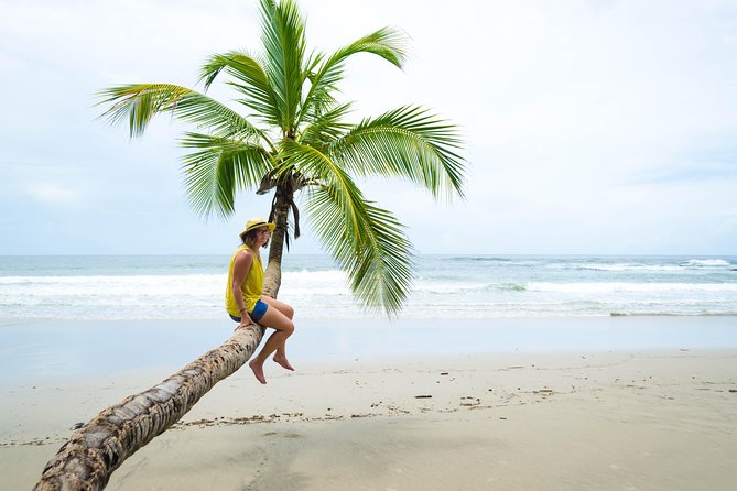 Coastal Tour of Trinidad - Key things to know before booking
