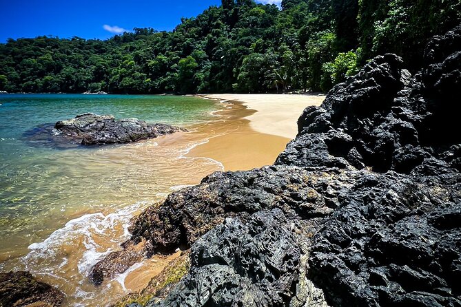 Coastline Snorkel and BBQ - Key points at a glance