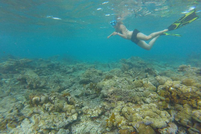 Coastline Snorkel and BBQ - Fun-fishing and the barbecue