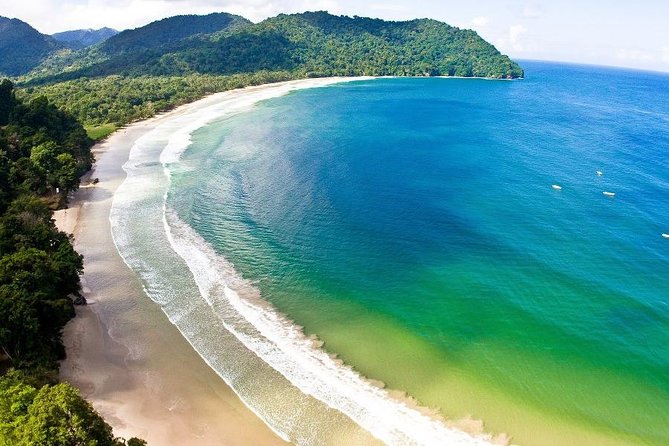 Day Trip to Las Cuevas Beach from Port of Spain - Maracas Beach, coconut palms, and bake and shark