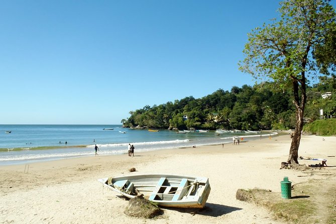 Day Trip to Las Cuevas Beach from Port of Spain - Who should book this beach trip?