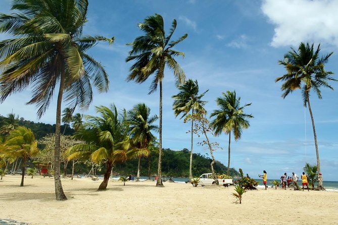 Day Trip to Maracas Beach - What the guide adds to the morning