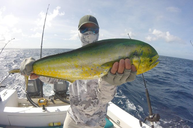 Deep Sea Fishing (Street Food and Beer Included) - What the strongest praise tells you