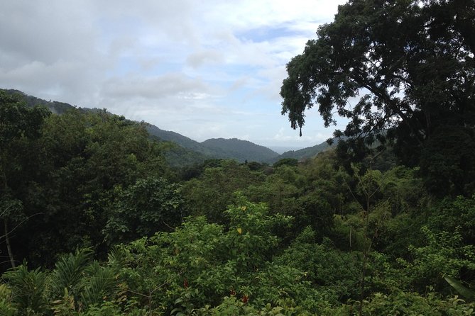 Discover the Rainforest - Key points to know before you book