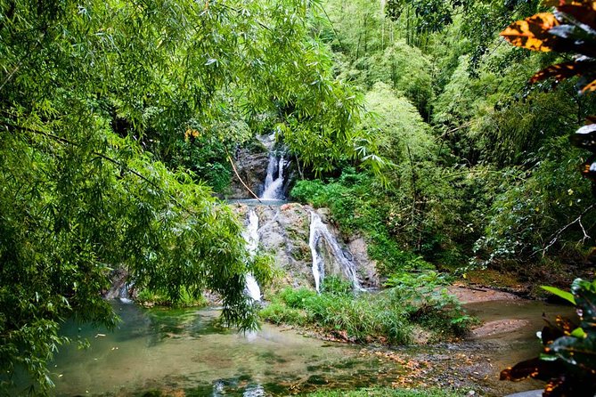 Discover the Rainforest - A two to three-hour walk, not a casual stroll