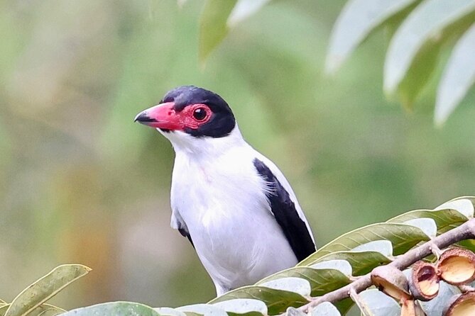 El Suzanne Estate Birding & Nature Reserve Tour - Why El Suzanne Estate Feels Different
