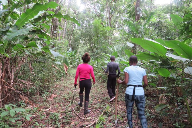 El Suzanne Estate Birding & Nature Reserve Tour - Private Group Format and Guide Choices