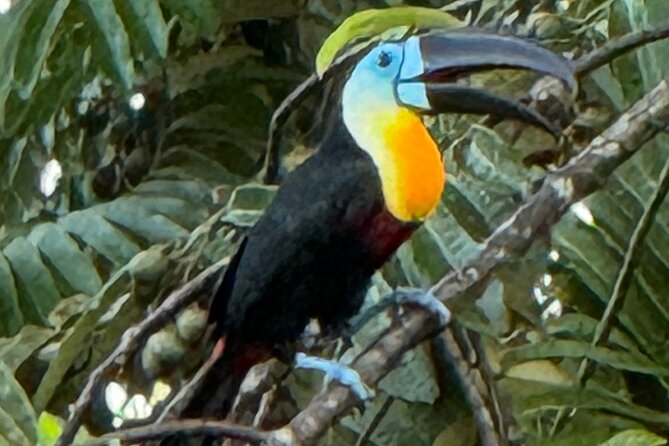 El Suzanne Estate Birding & Nature Reserve Tour - Is $21 Good Value for Three Hours?
