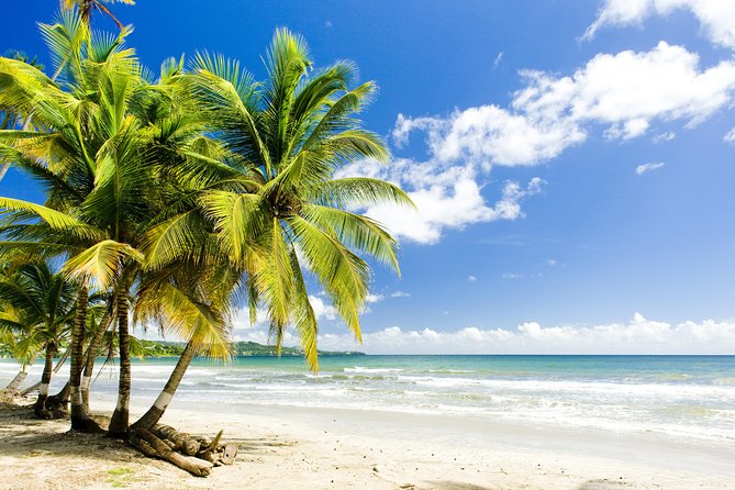 Englishman's Bay Day Trip with Lunch - Key Things To Know Before You Book