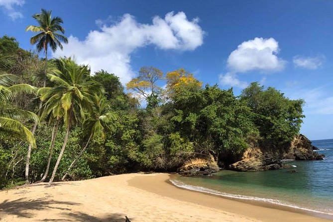 Englishman's Bay Day Trip with Lunch - Reaching Tobago’s Quiet Englishman’s Bay