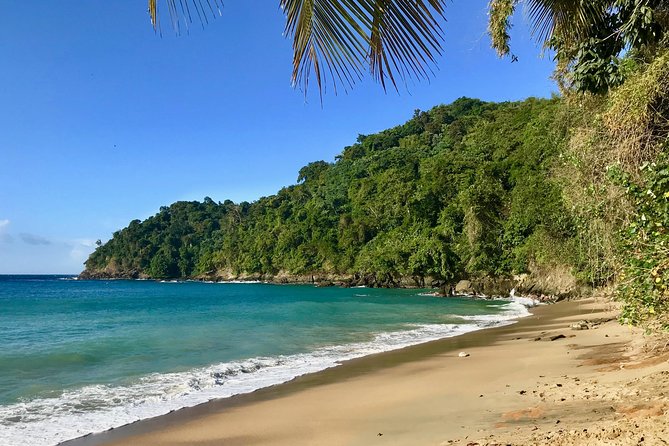 Englishman's Bay Day Trip with Lunch - A Private Vehicle Changes the Pace