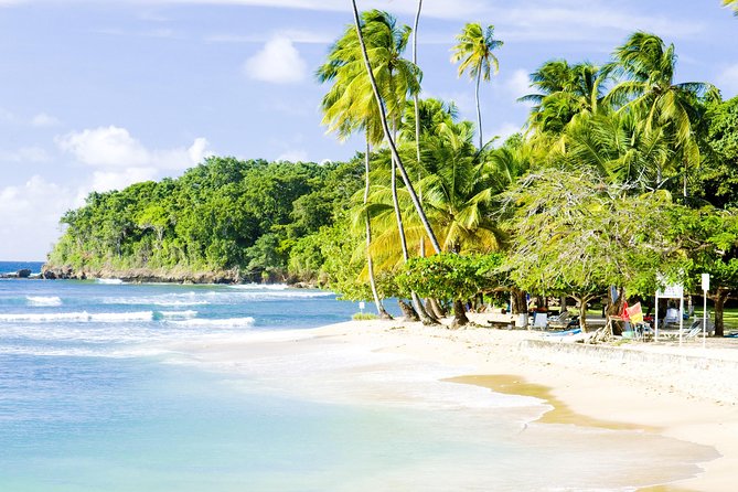 Englishman's Bay Day Trip with Lunch - Is $185 Per Person Good Value?