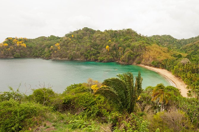 Englishman's Bay Day Trip with Lunch - Who Will Enjoy This Beach Excursion?