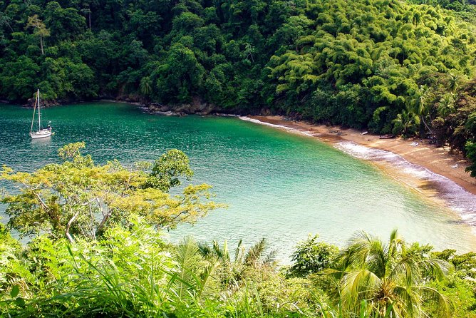 Englishman's Bay Day Trip with Lunch - Practical Preparation For A Five-Hour Outing