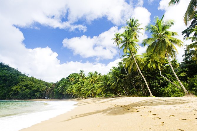 Englishman's Bay Day Trip with Lunch - How To Make The Most Of Englishman’s Bay