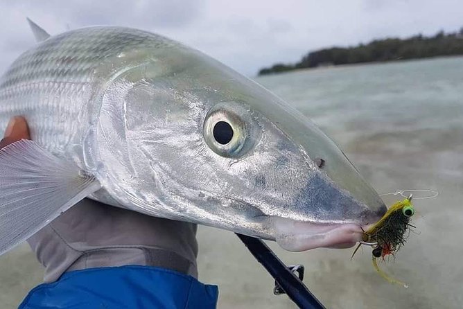 Fly Fishing Tour - Meeting at Buccoo Point