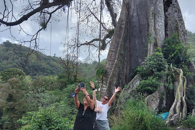 Full Day Tour in Tobago Island with Lunch - The 9:00 a.m. start and the value of a guided route