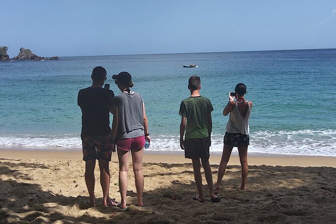 Full Day Tour in Tobago Island with Lunch - What to pack and what to confirm
